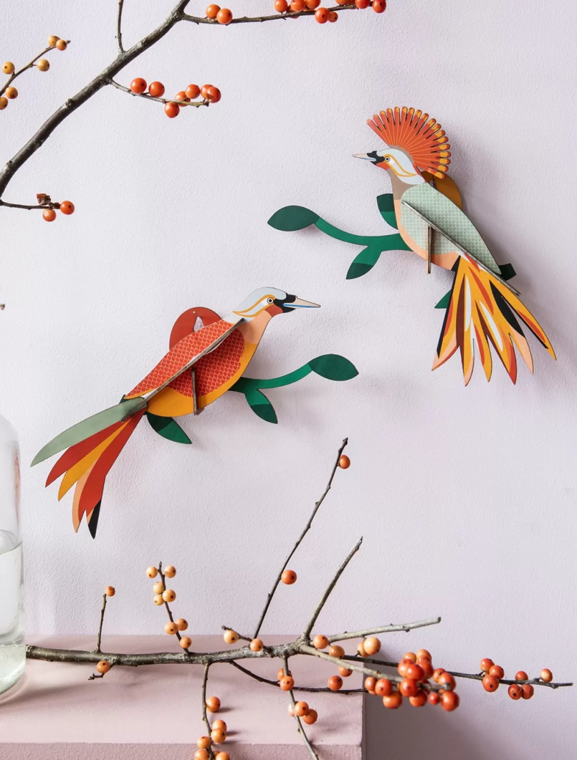 Flash Sale Studio ROOF Paradise Bird, Obi