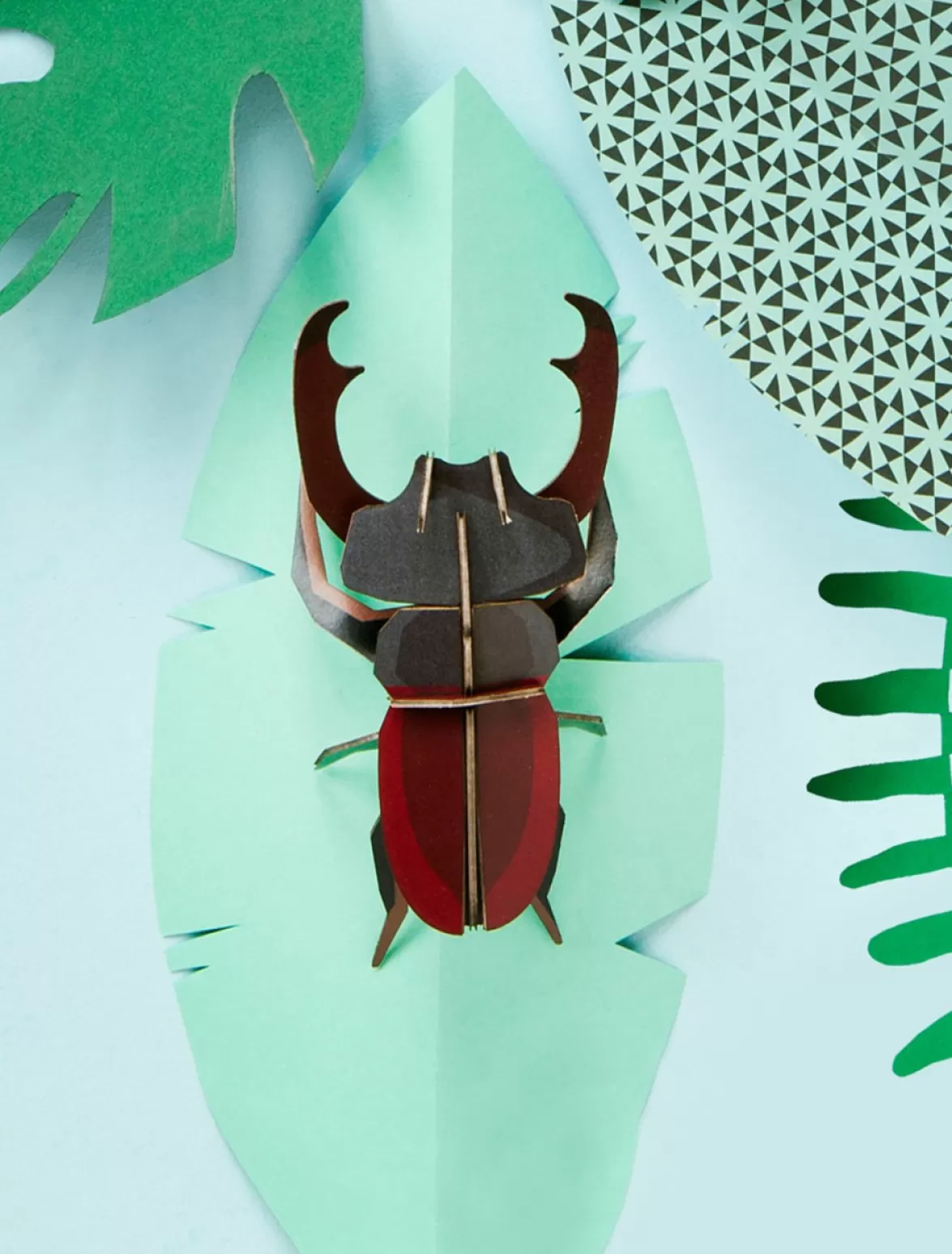 Cheap Studio ROOF Stag Beetle