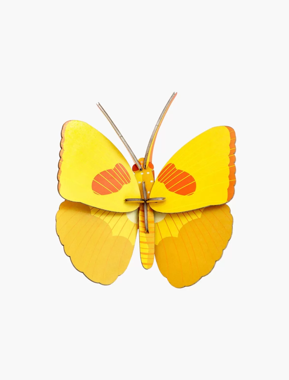 Discount Studio ROOF Yellow Butterfly