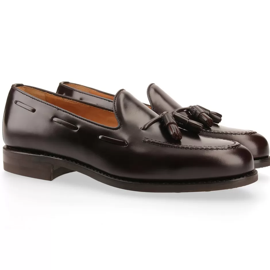 Shop Berwick 1707 8491-K7 Rois Brown